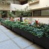 Courtyard Garden | Grosvenor Court Apartments